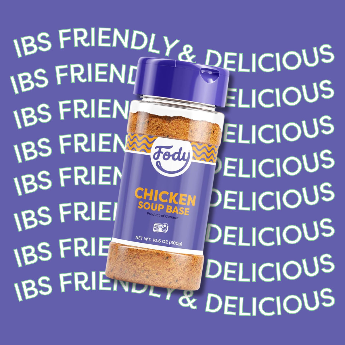 Fody Chicken & Vegetable Soup Base & Seasoning – Garlic & Onion Free, Low FODMAP, Gluten Free (Pack of 2)