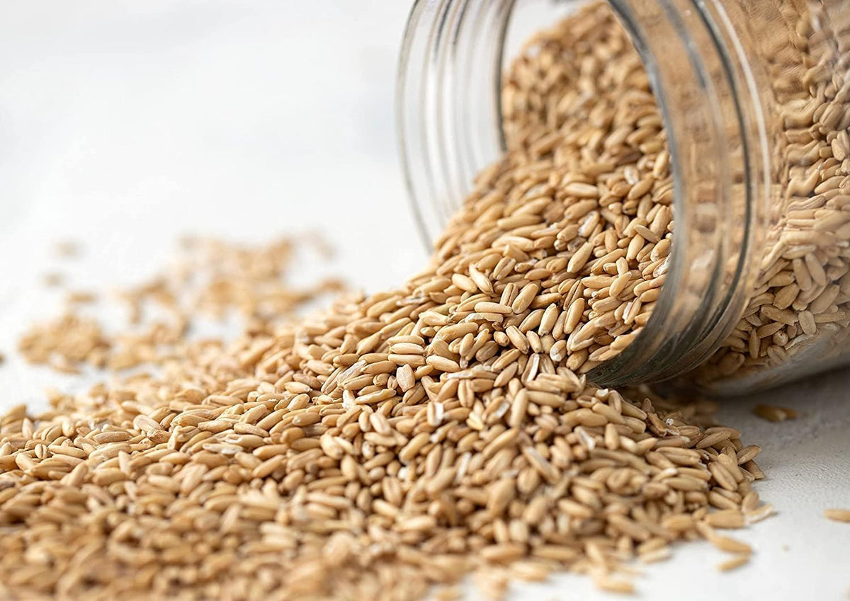 Food to Live Organic Oat Groats – 5 lb Bulk, Whole Grain, Non-GMO, Kosher