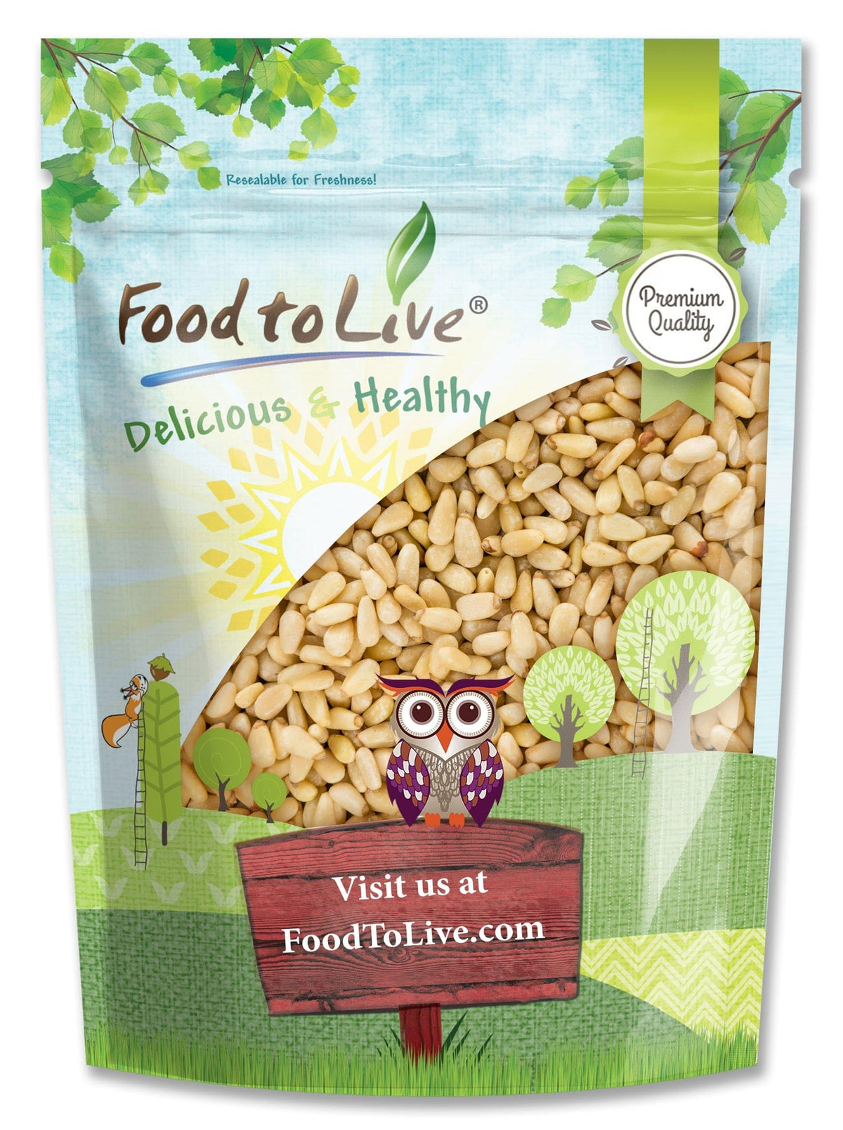 Food to Live Pine Nuts – 1lb Whole Raw Unsalted, Vegan, Kosher, Bulk
