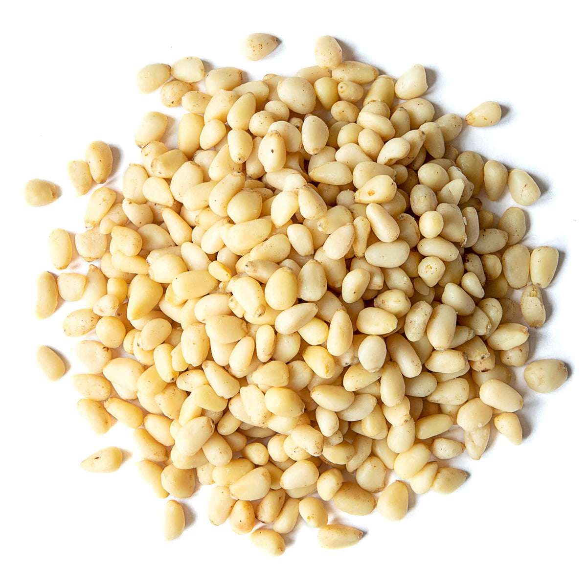 Food to Live Pine Nuts – 1lb Whole Raw Unsalted, Vegan, Kosher, Bulk