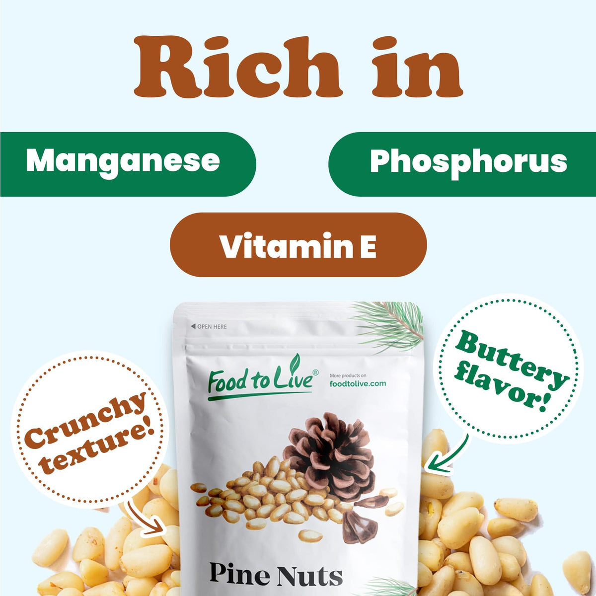 Food to Live Pine Nuts – 1lb Whole Raw Unsalted, Vegan, Kosher, Bulk