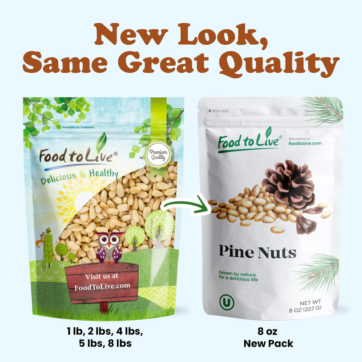 Food to Live Pine Nuts – 1lb Whole Raw Unsalted, Vegan, Kosher, Bulk