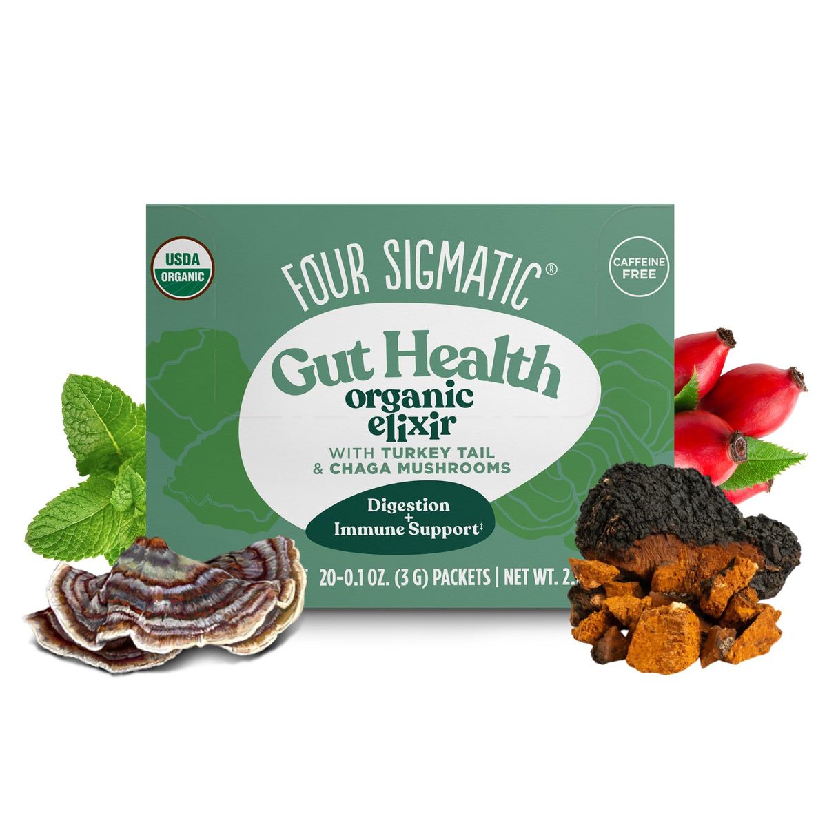 Four Sigmatic Chaga Elixir – Coffee Alternative with Organic Chaga, Rose Hips & Mint (20 Pack)