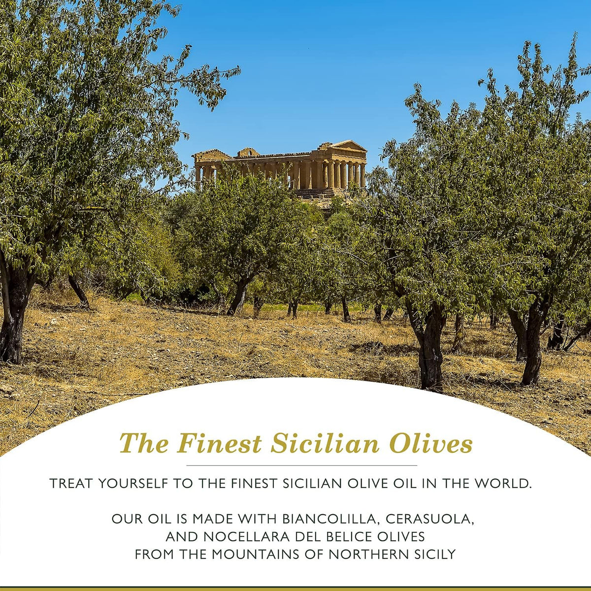 Frantoia Extra Virgin Olive Oil – Award-Winning Sicilian EVOO (3L Tin) with Biancolilla, Nocellara del Belice & Cerasuola