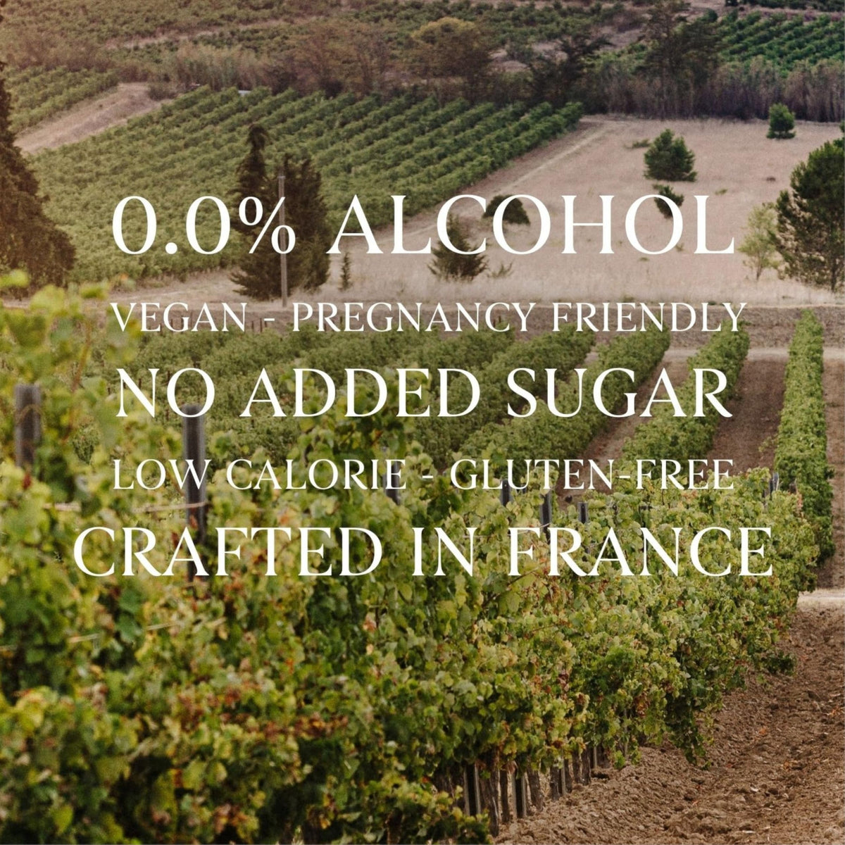 French Bloom Duo Set – 0.0% Alcohol-Free Sparkling Wine (Le Blanc & Le Rosé) 750ml | Organic, Vegan, Low Calorie