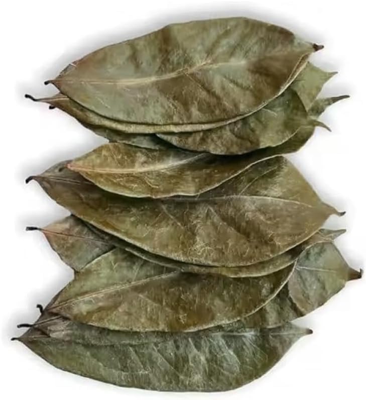 Fresh Africa Organic Soursop Leaves – 100% Natural Dried Graviola Tea (50g)