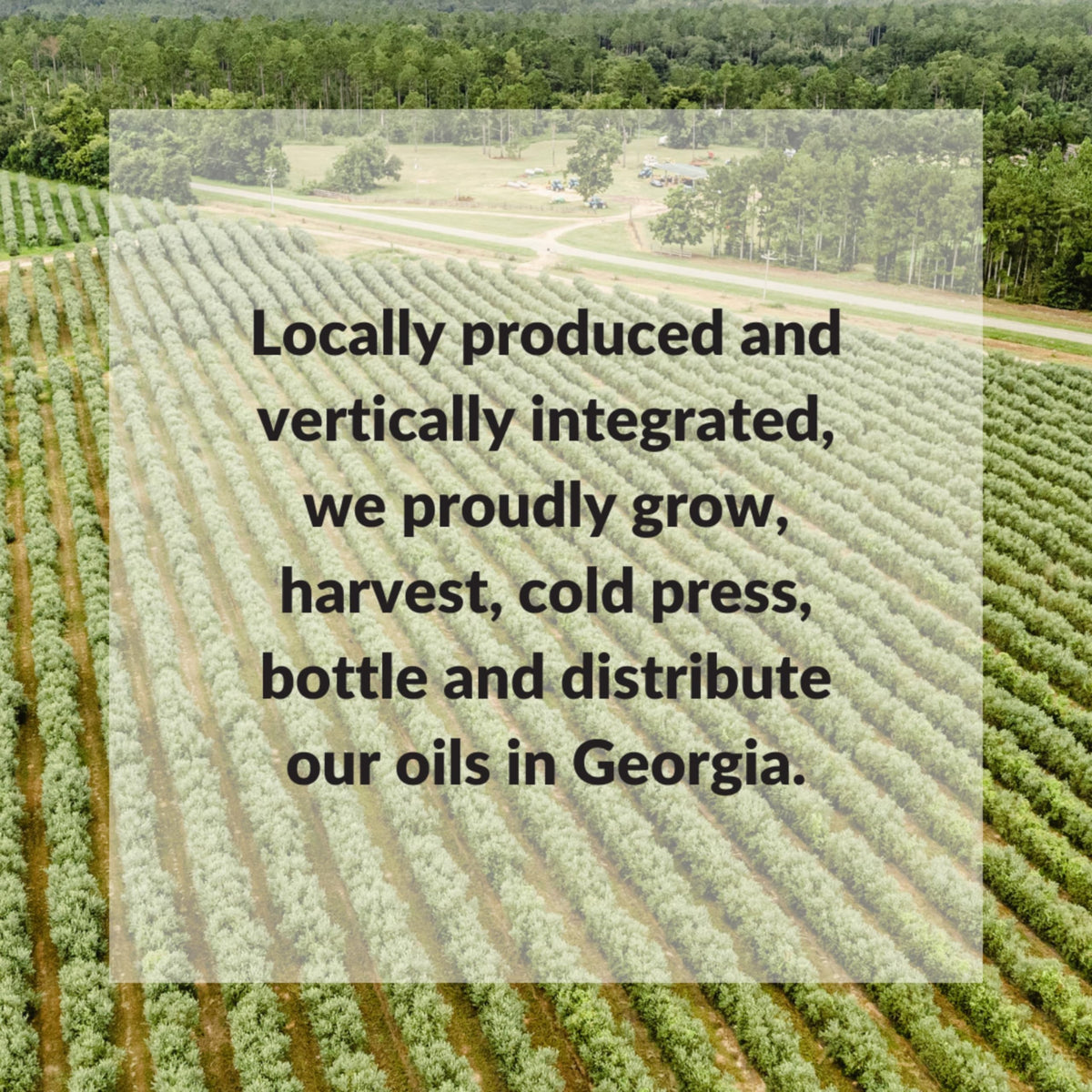 Fresh Press Farms High Heat EVOO for Pan Frying & Grilling — 2x16.4oz, Georgia Grown