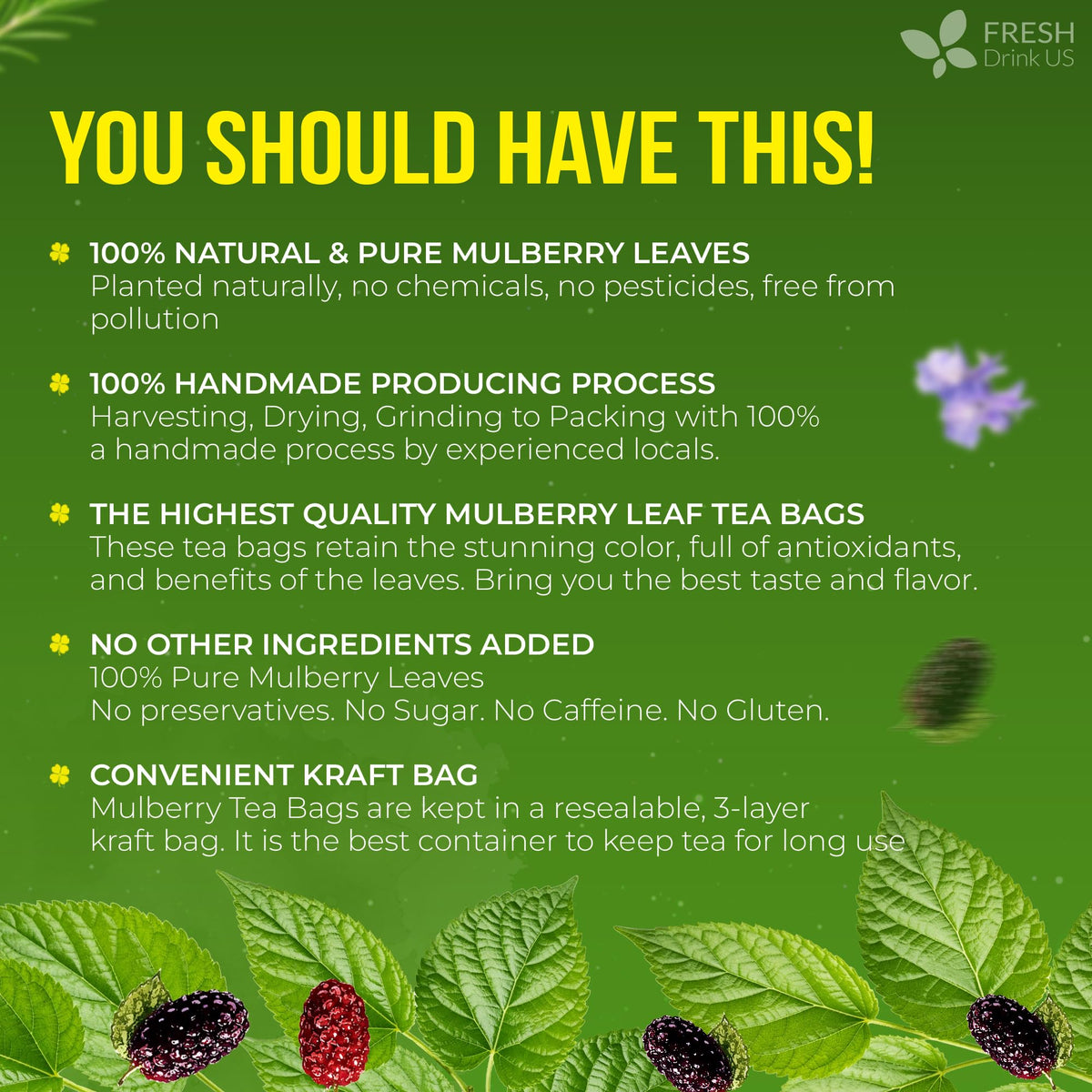 FreshDrinkUS Mulberry Leaf Tea Bags – 120 Count, 100% Natural & Caffeine-Free Herbal Tea