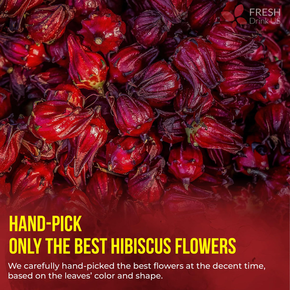 FreshDrinkUS Premium Hibiscus Tea Bags — 100% Natural Hibiscus Flowers, Caffeine-Free, Gluten-Free, Vegan