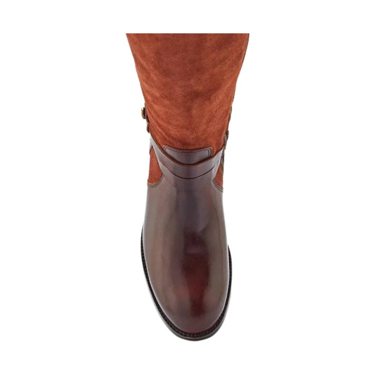 Frye Women's Melissa Belted Tall - Brown - ONLINE STORE CREDIT/EXCHANGE ONLY