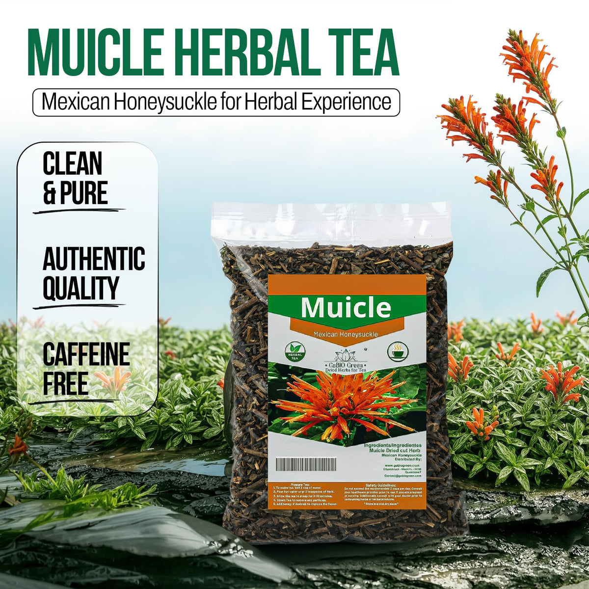 Gabio Green Muicle Mexican Honeysuckle Tea – Caffeine-Free Loose Leaf Herbal Tea (230 g)