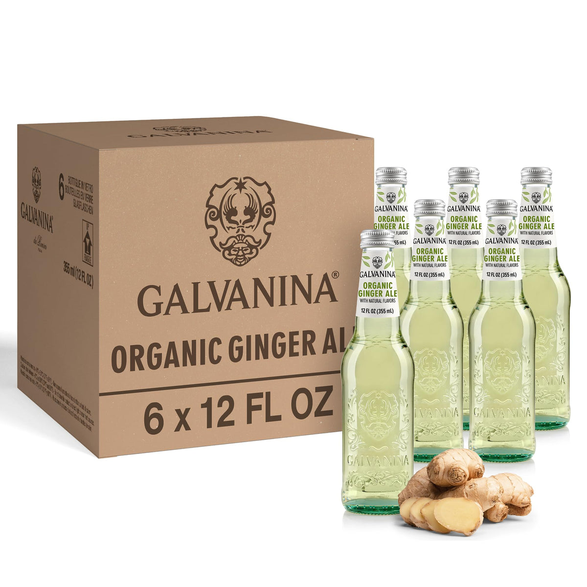 Galvanina Ginger Ale – Premium Organic Italian Sparkling Soda (12 fl oz x6)