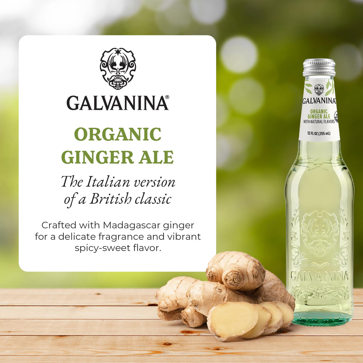 Galvanina Ginger Ale – Premium Organic Italian Sparkling Soda (12 fl oz x6)