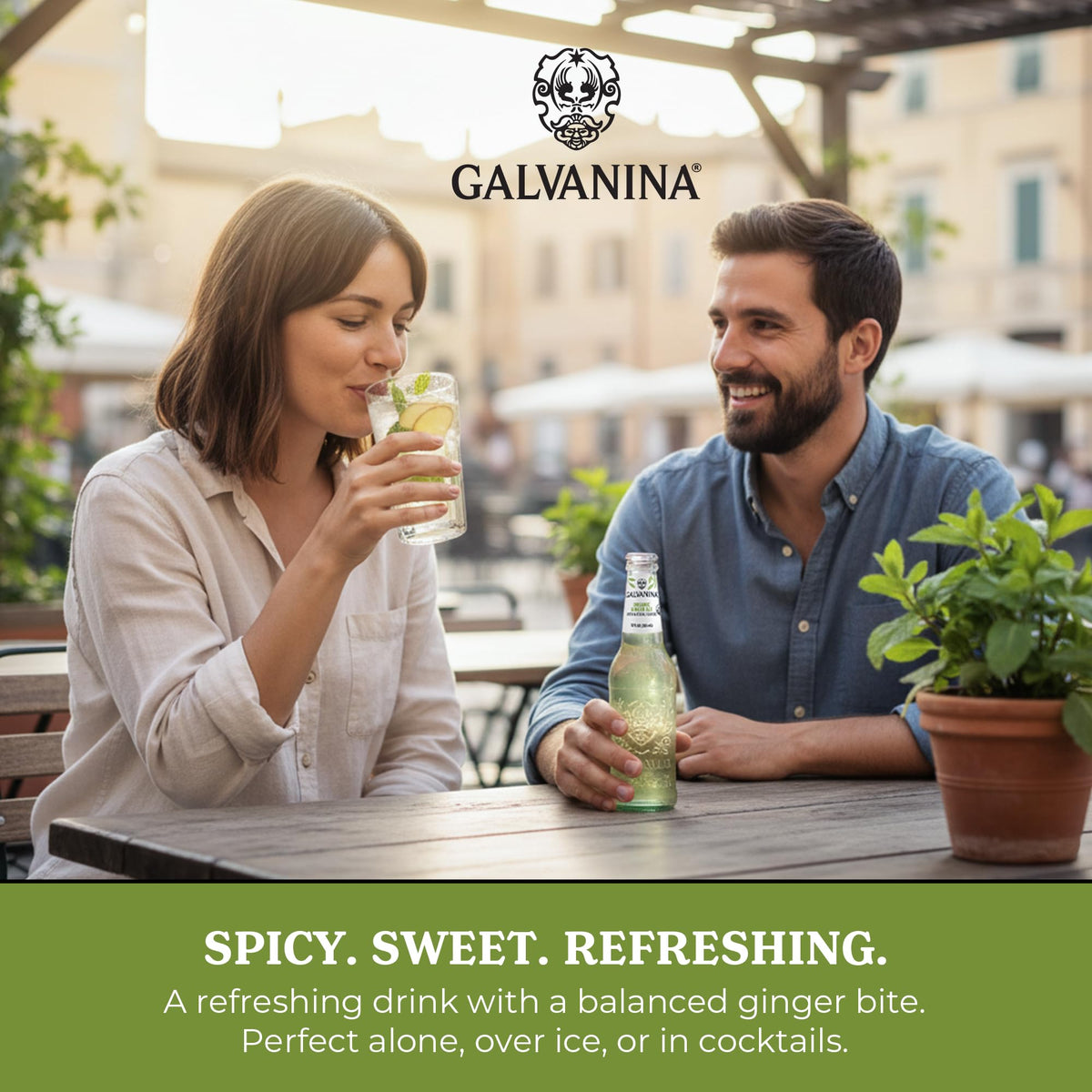 Galvanina Ginger Ale – Premium Organic Italian Sparkling Soda (12 fl oz x6)
