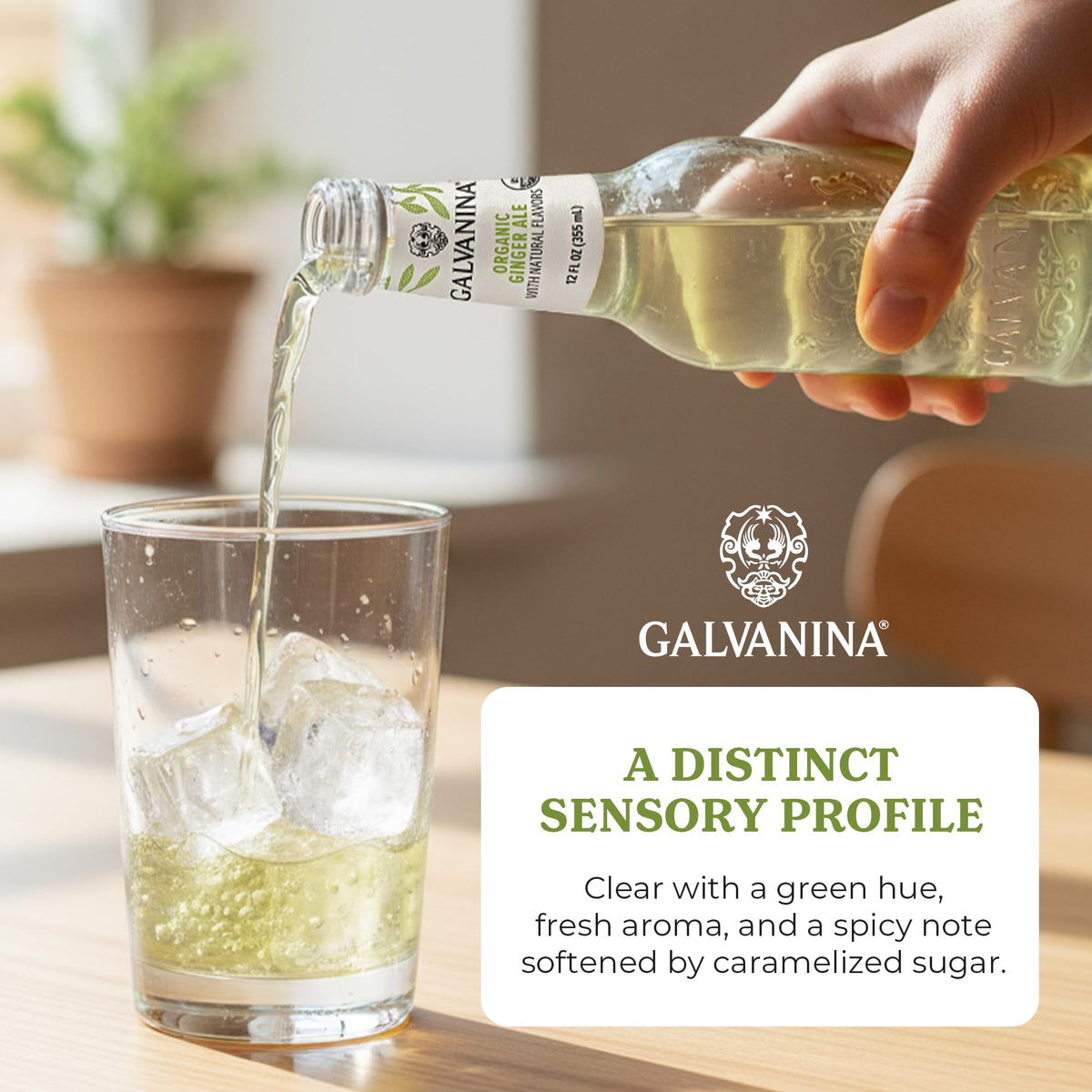 Galvanina Ginger Ale – Premium Organic Italian Sparkling Soda (12 fl oz x6)