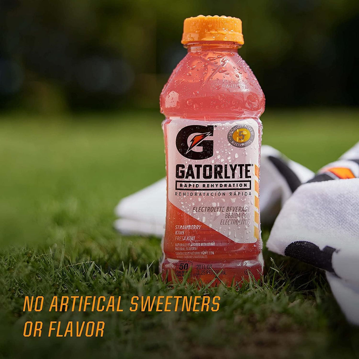 Gatorlyte Glacier Freeze Electrolyte Beverage — 20oz Bottles Pack of 12 | Rapid Rehydration