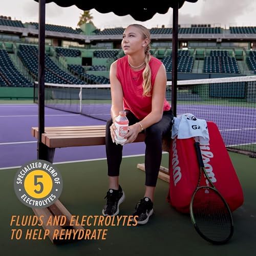 Gatorlyte Zero Rehydration Electrolyte Drink – Fruit Punch, 20oz Bottles (12 Pack)