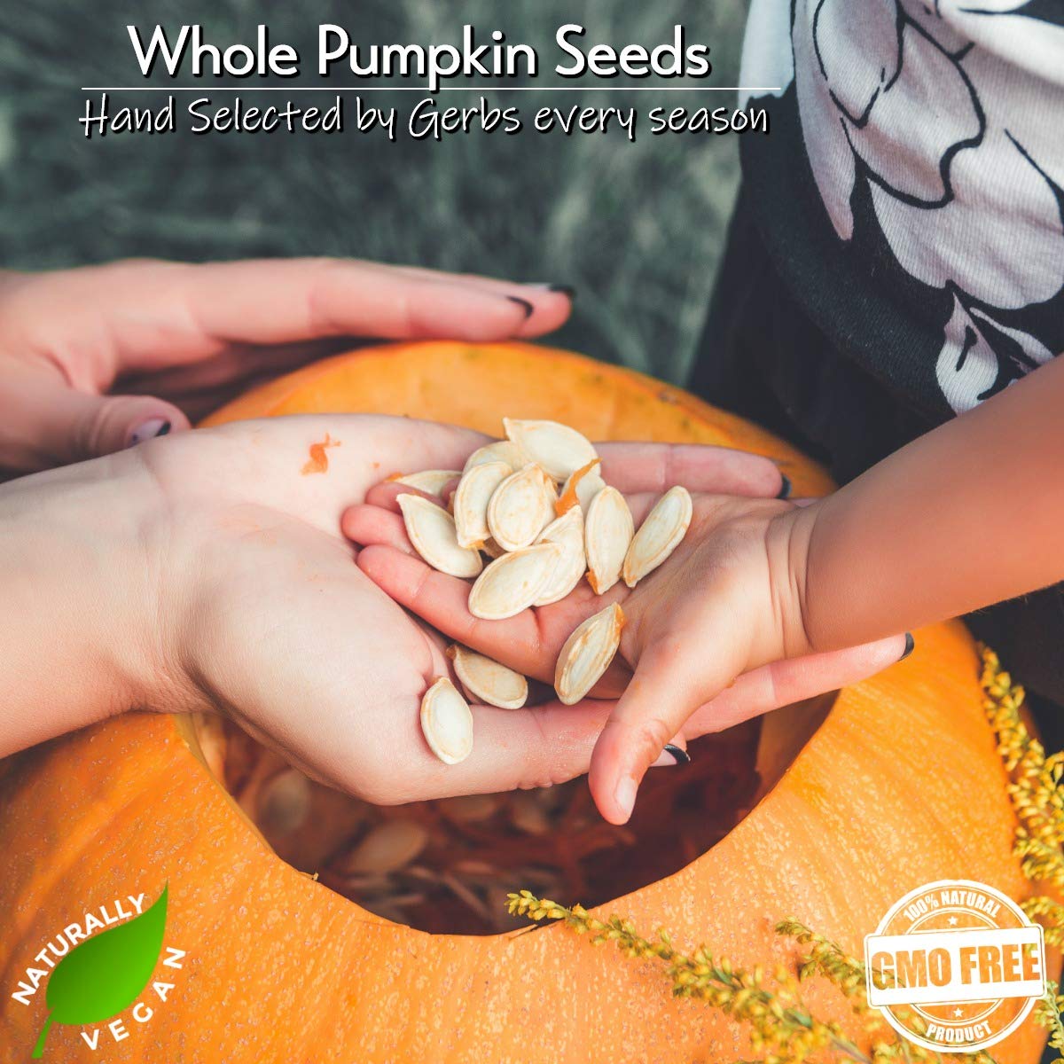 GERBS Jumbo Raw Pumpkin Seeds in Shell – 2 LBS, Allergen-Free, Non-GMO, Vegan & Kosher