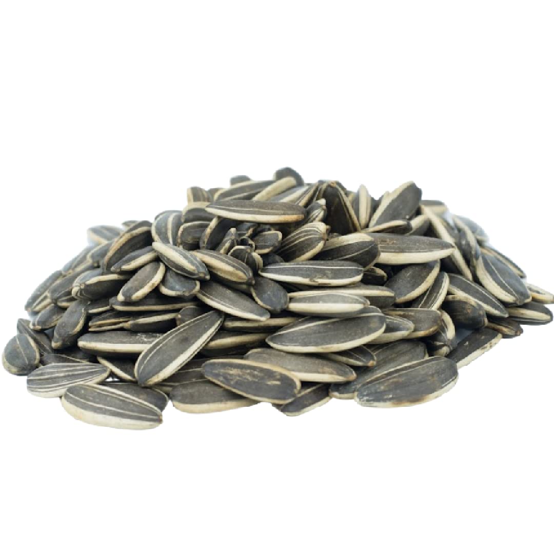 GERBS Jumbo Raw Whole Sunflower Seeds – 2 lbs, Shell-On, Allergen-Free