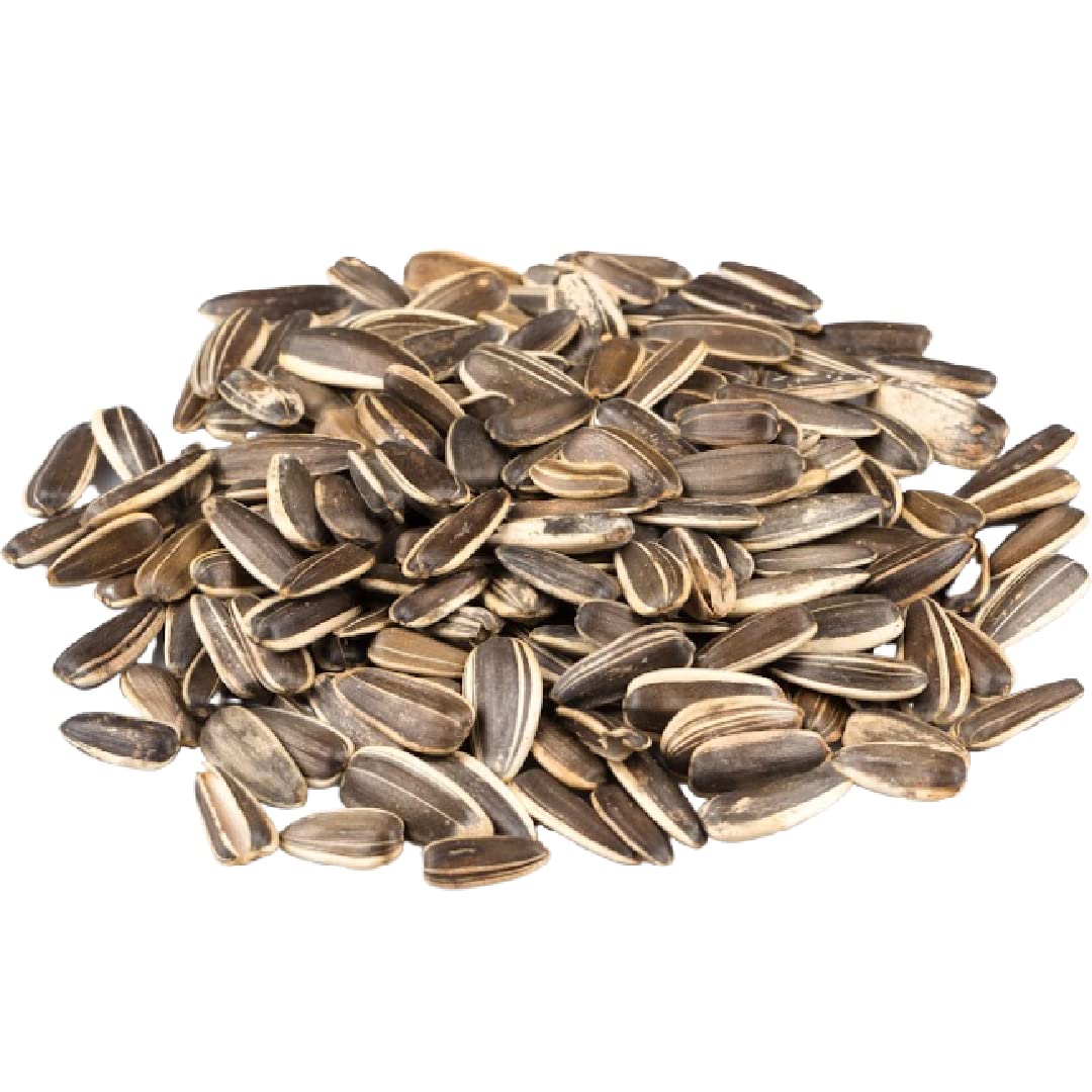 Gerbs Jumbo Sea Salted Sunflower Seeds – 2 LBS | Allergen-Free, Non-GMO, USA-Grown