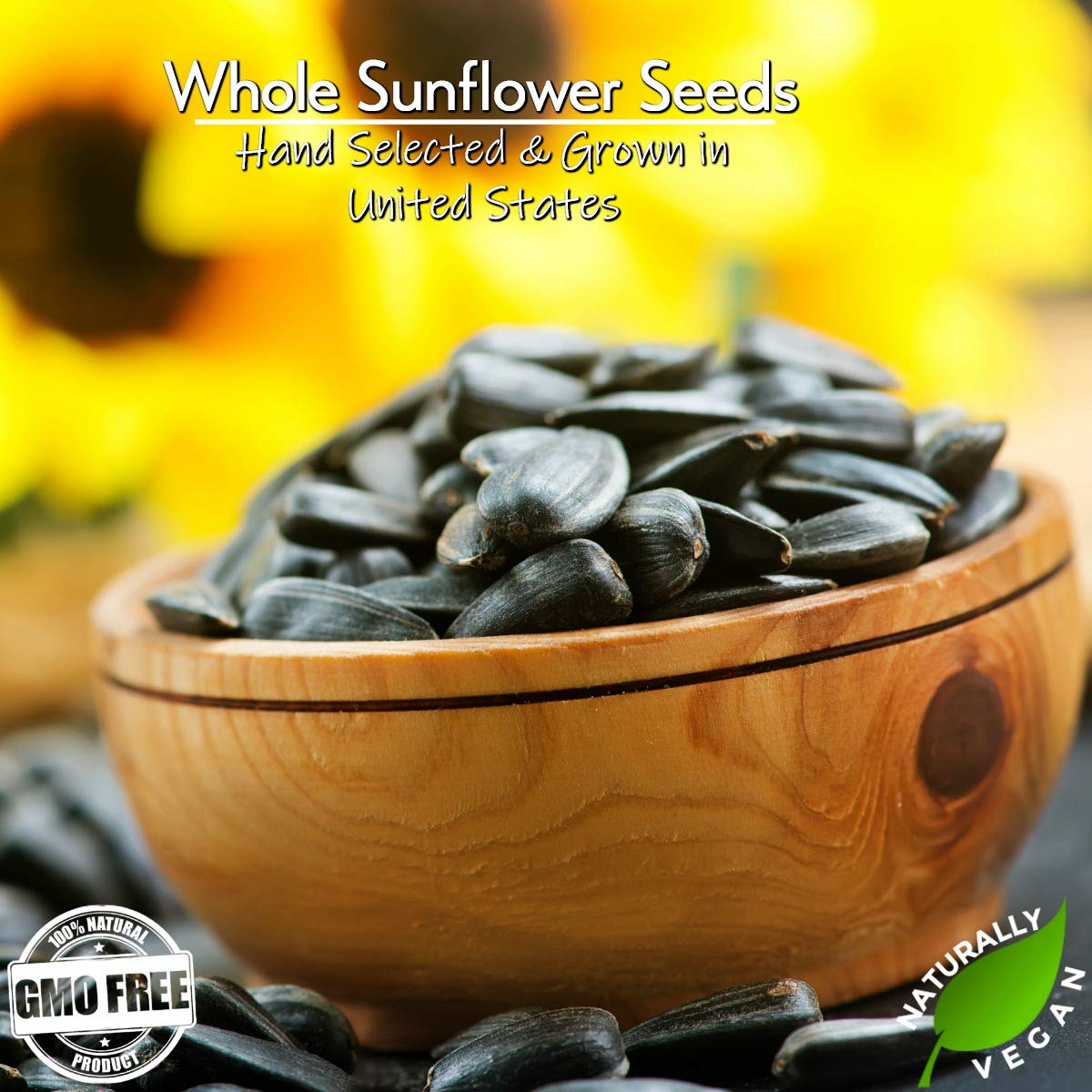 Gerbs Lightly Sea Salted Sunflower Seed in Shell – 2 LBS, Allergen-Free & Non-GMO