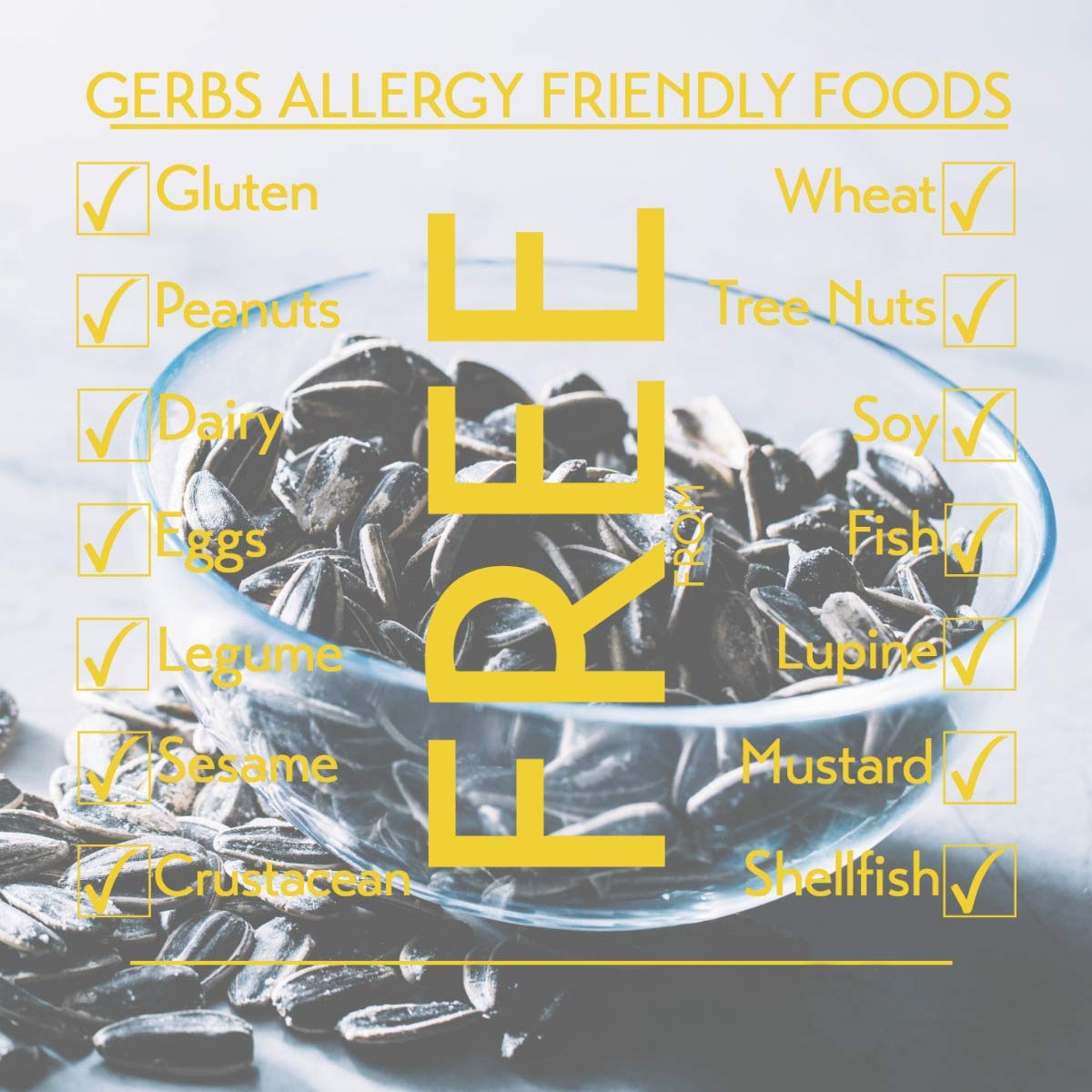 Gerbs Lightly Sea Salted Sunflower Seed in Shell – 2 LBS, Allergen-Free & Non-GMO