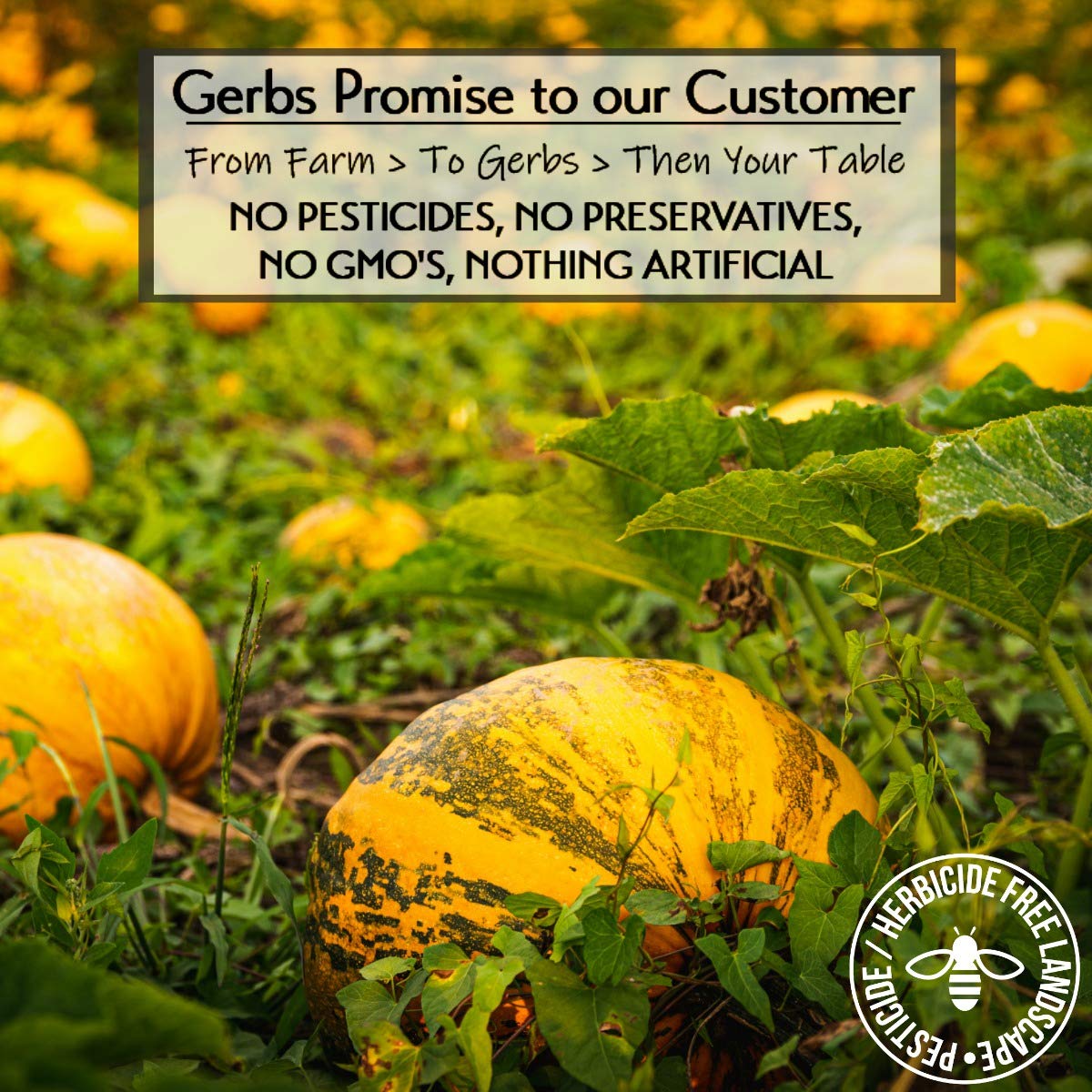 GERBS Pumpkin Seed Meal 1 LB – Premium, Non-GMO, Keto & Paleo | Resealable Bulk Bag