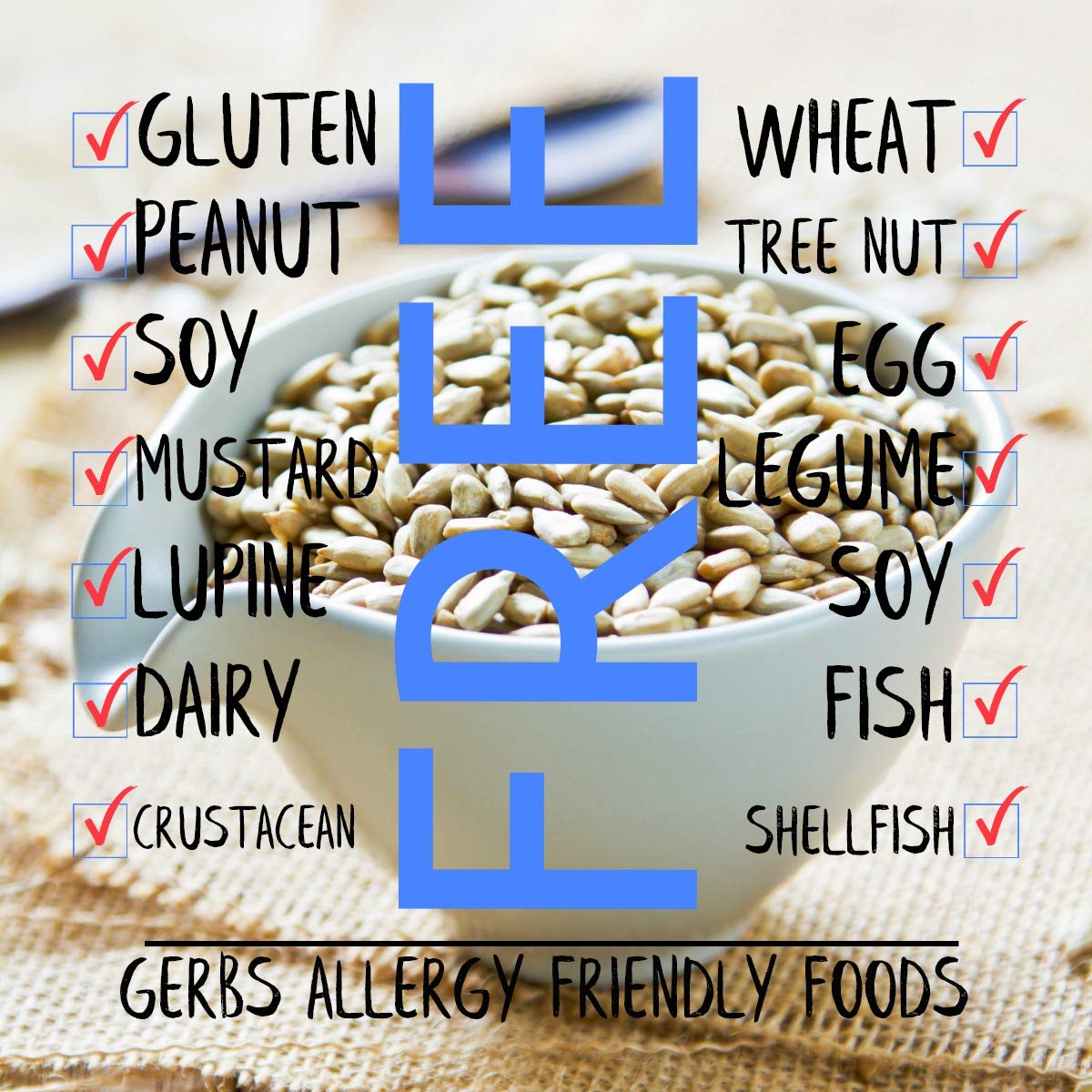 Gerbs Lightly Sea Salted Sunflower Seed Kernels – 2 LBS, Top 14 Allergen-Free & Non-GMO