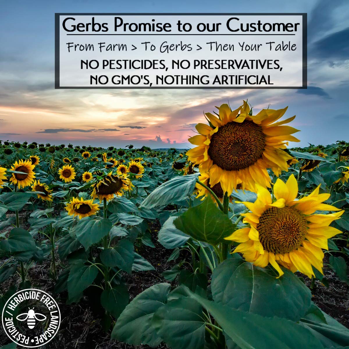 Gerbs Raw Sunflower Seed Kernels, 4 lb – Allergen-Free, Resealable Bag, Mild & Crunchy