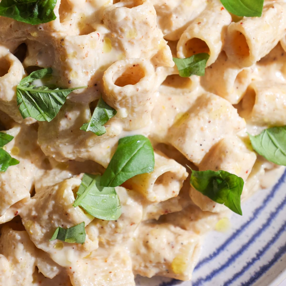 Giadzy Mezzi Rigatoni Gluten Free 3 Pack – Made in Italy, Non-GMO