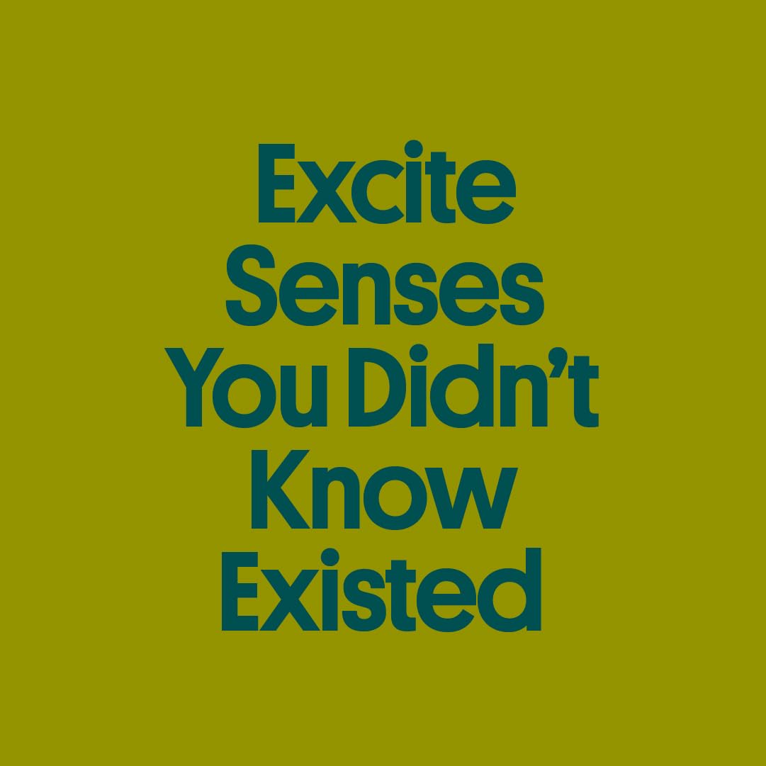 Gimme Seaweed Organic Premium Roasted Seaweed Snacks with Extra Virgin Olive Oil | Keto, Vegan, Gluten-Free