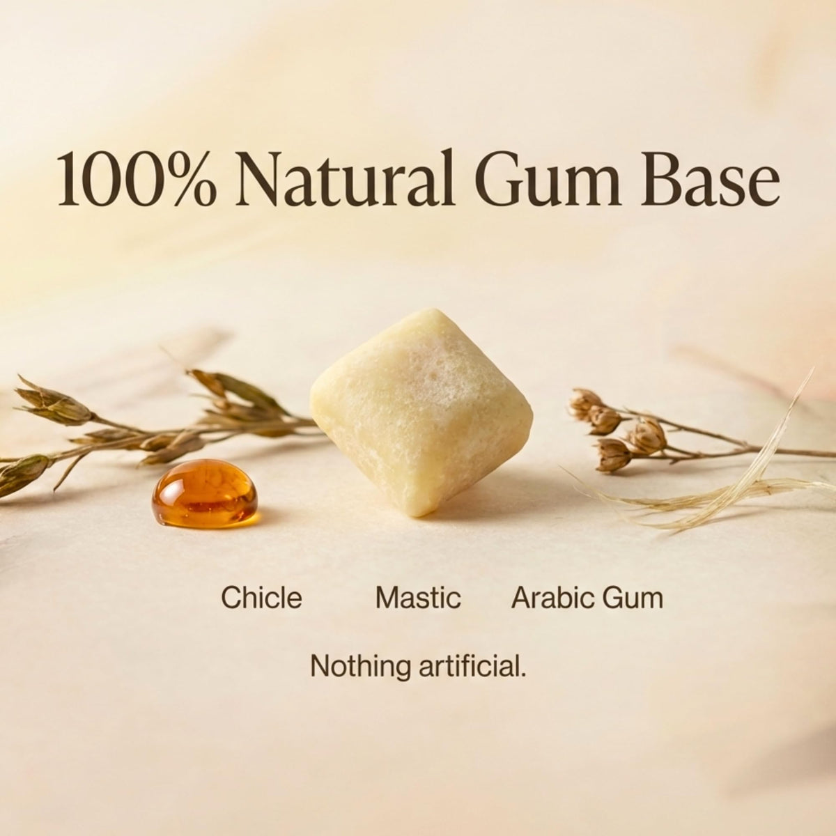 Remineralizing Gum with Nano Hydroxyapatite & Xylitol | Gleam Gum, 60 Pieces