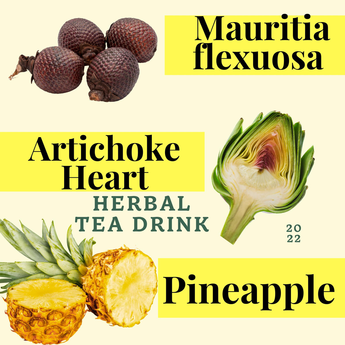 GN+Vida Pinalim Plus Tea - Aguaje Peruano & Artichoke Heart, Caffeine Free Detox (Pack of 2, 60 Bags)