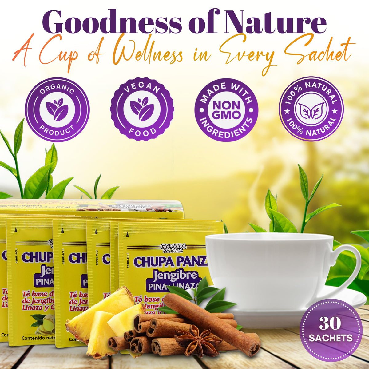GN+Vida Tea CHUPA Panza: Ginger Pineapple Tea with Flaxseed & Cinnamon (Set of 2, 60 Bags)