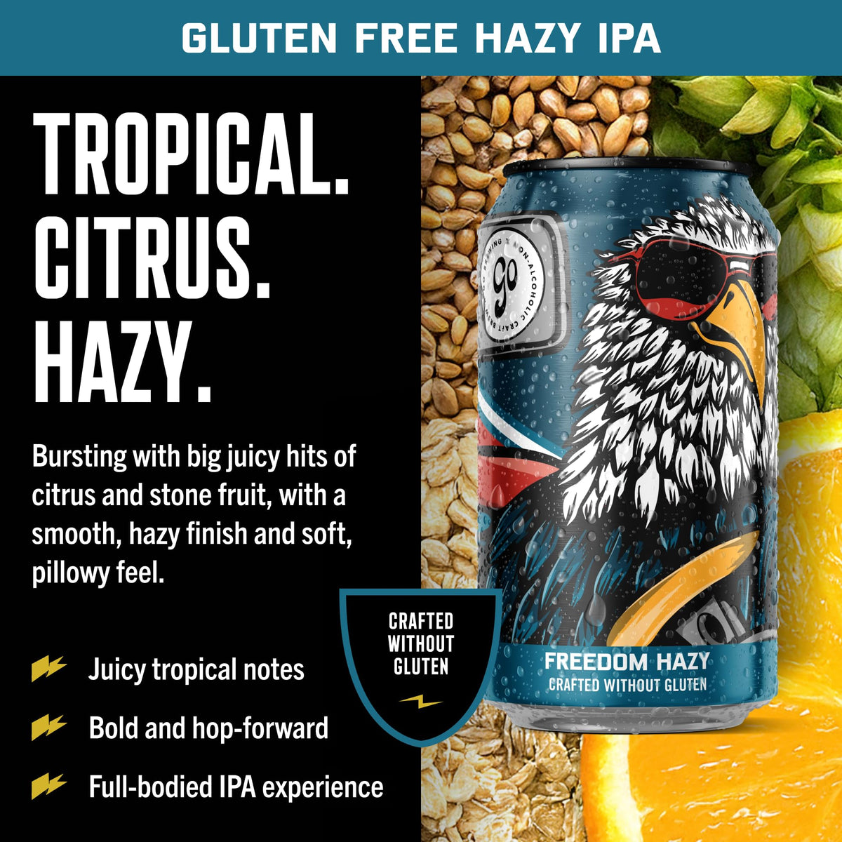 Go Brewing Freedom Non-Alcoholic Craft Beer Variety — West Coast Pale, Amber & Hazy IPA, Gluten Free, 12oz Cans