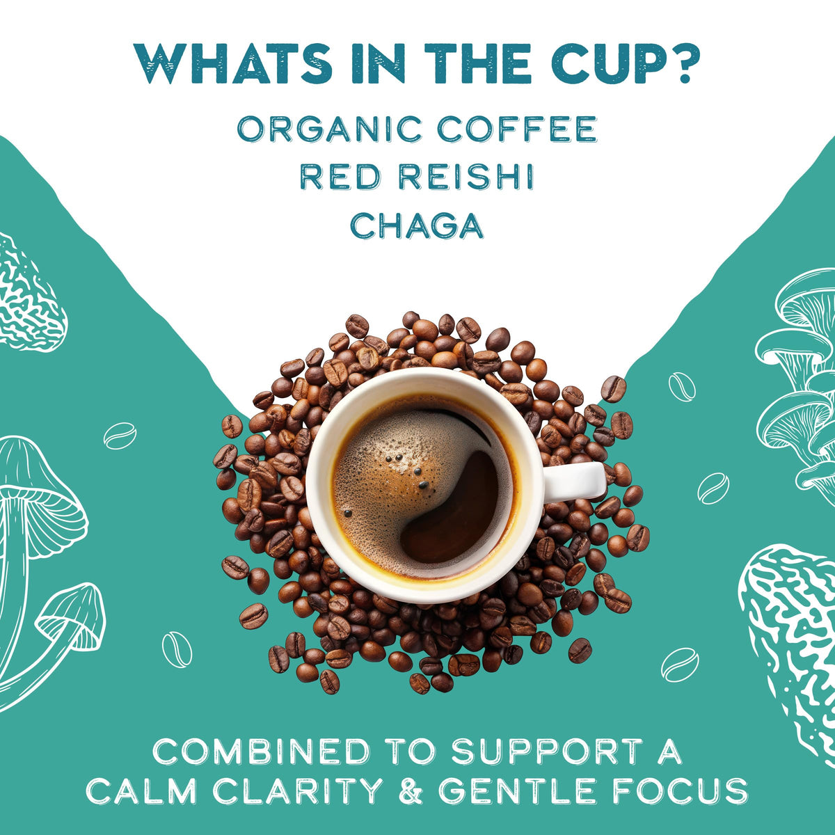 GO MENTAL Organic Mushroom Decaf Coffee – Swiss Water, Red Reishi & Chaga (12oz)