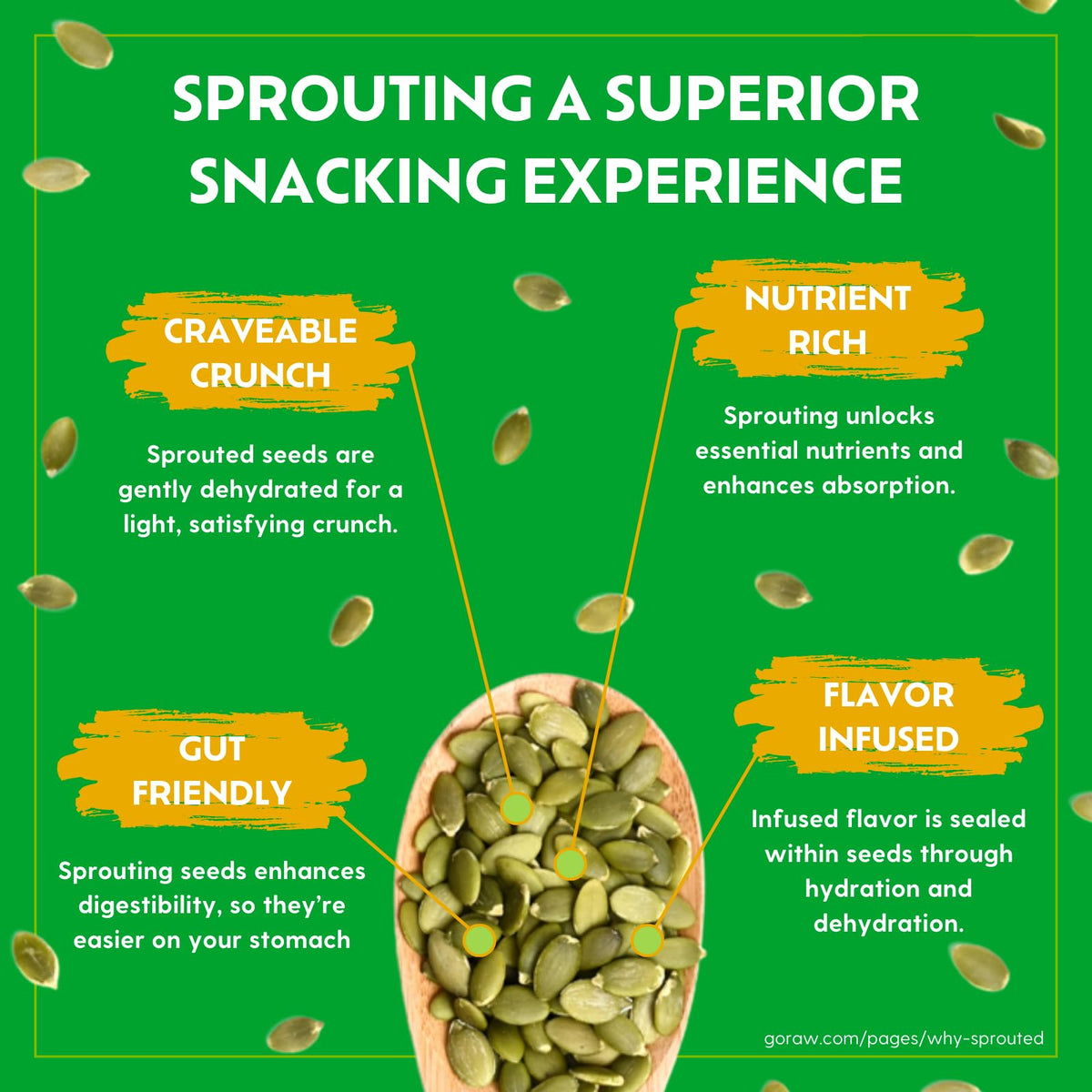 Go Raw Organic Sprouted Chili Lime Seed Snack - 6 Pack, 4 oz Each