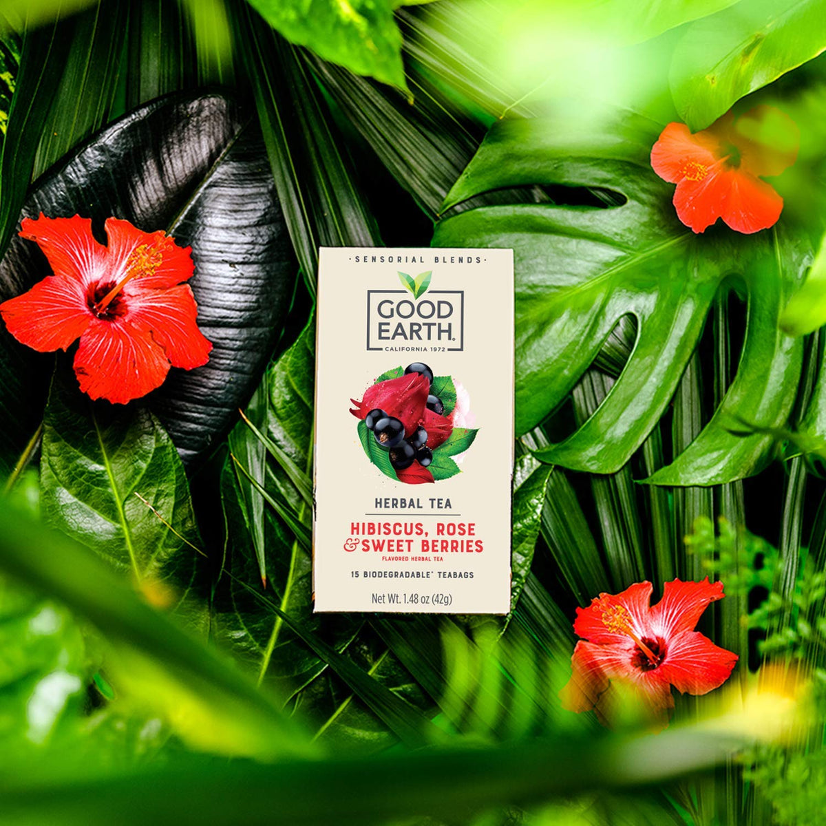 Good Earth Tea Co. Sensorial Blend Herbal Tea - Hibiscus, Rose & Sweet Berries (15 Bag x 5 Pack)