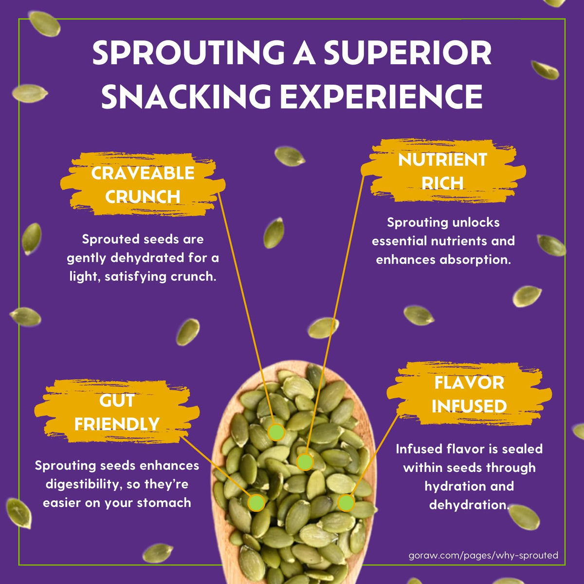 Go Raw Organic Sprouted Everything Bagel Snacking Seeds – 6 Pack (4 oz each) with Pumpkin & Sunflower Seeds