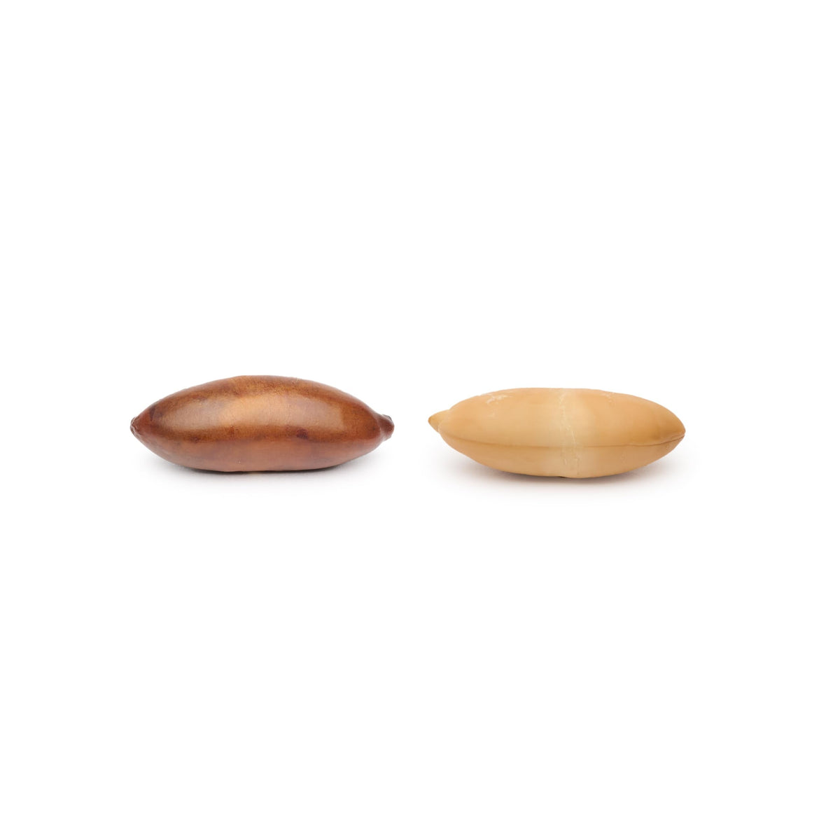 Gourmanity Brazilian Baru Nuts – Roasted & Unsalted, High Protein, Omega 6 & 9