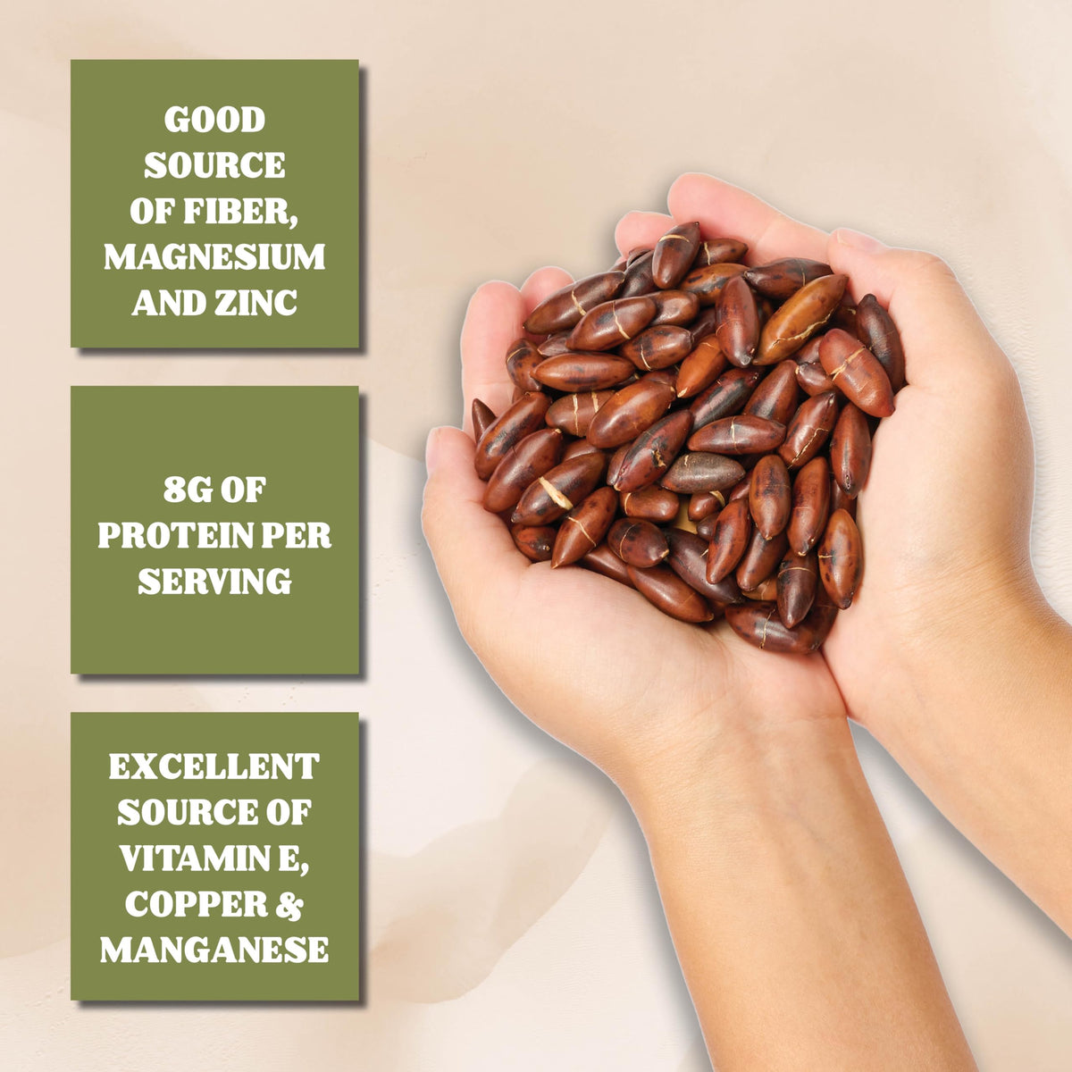Gourmanity Brazilian Baru Nuts – Roasted & Unsalted, High Protein, Omega 6 & 9