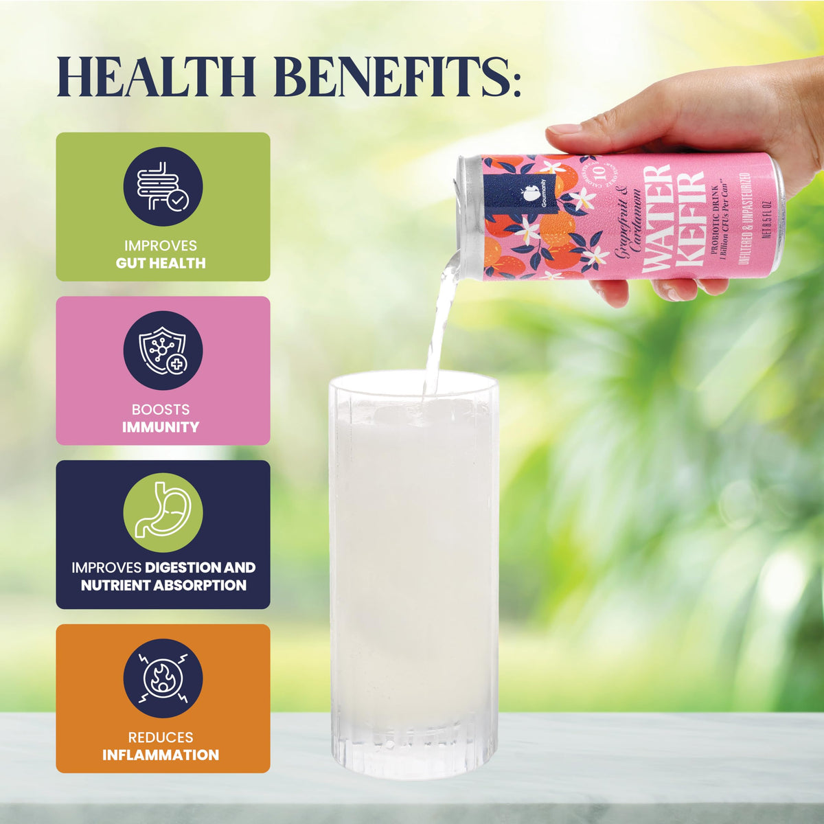 Gourmanity Water Kefir: Zero Sugar Probiotic Drink, Shelf-Stable 6-Pack