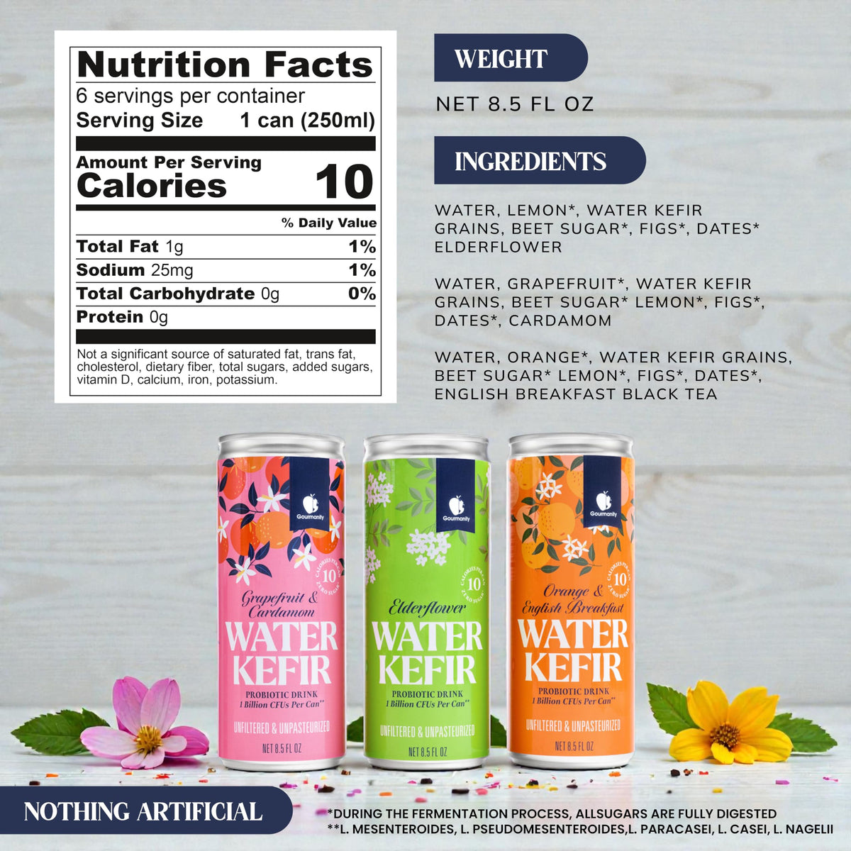 Gourmanity Water Kefir: Zero Sugar Probiotic Drink, Shelf-Stable 6-Pack