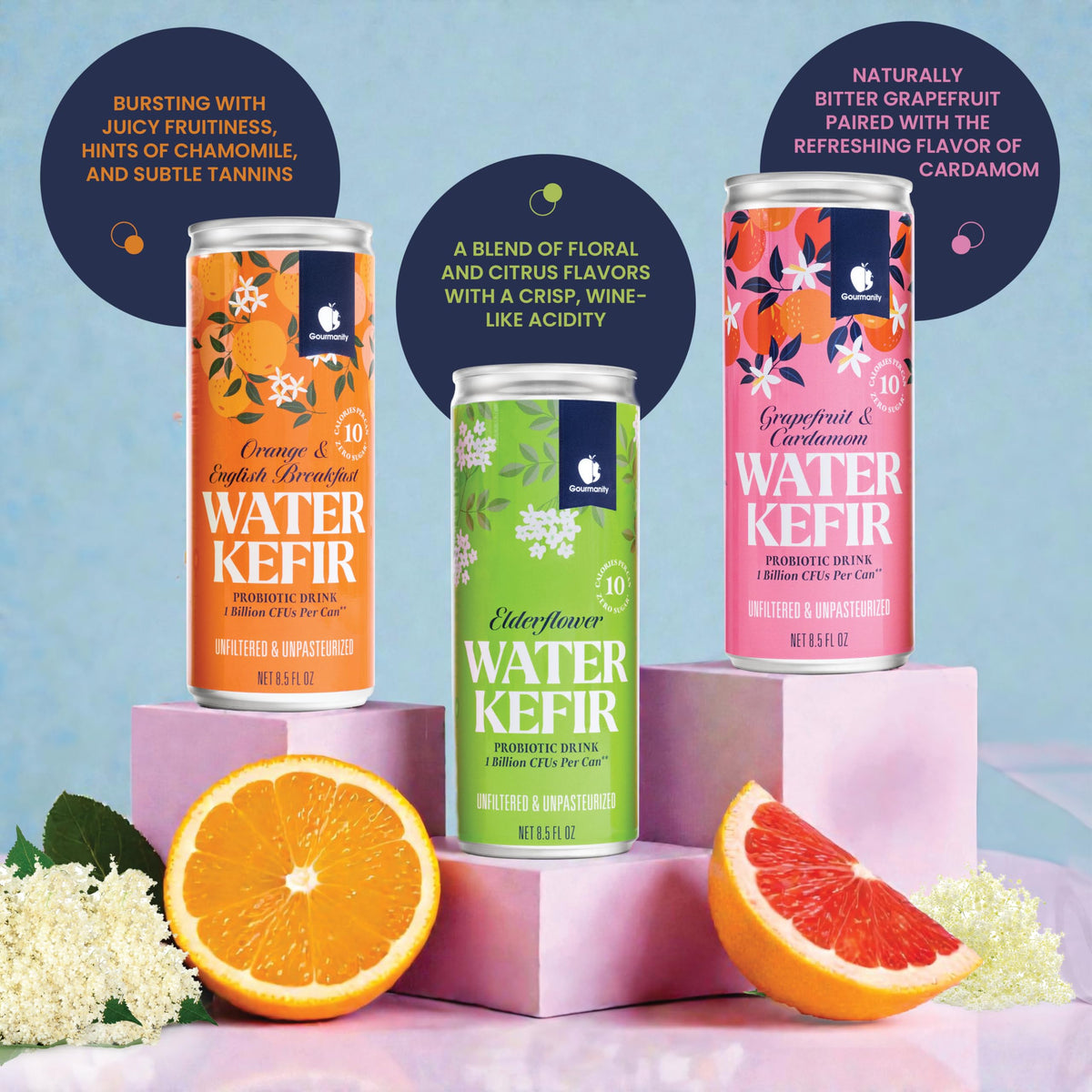 Gourmanity Water Kefir: Zero Sugar Probiotic Drink, Shelf-Stable 6-Pack
