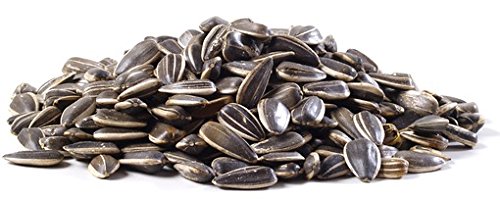 Tambovsky Volk XXL Roasted Sunflower Seeds 400g Pack of 4 | Gourmet Market