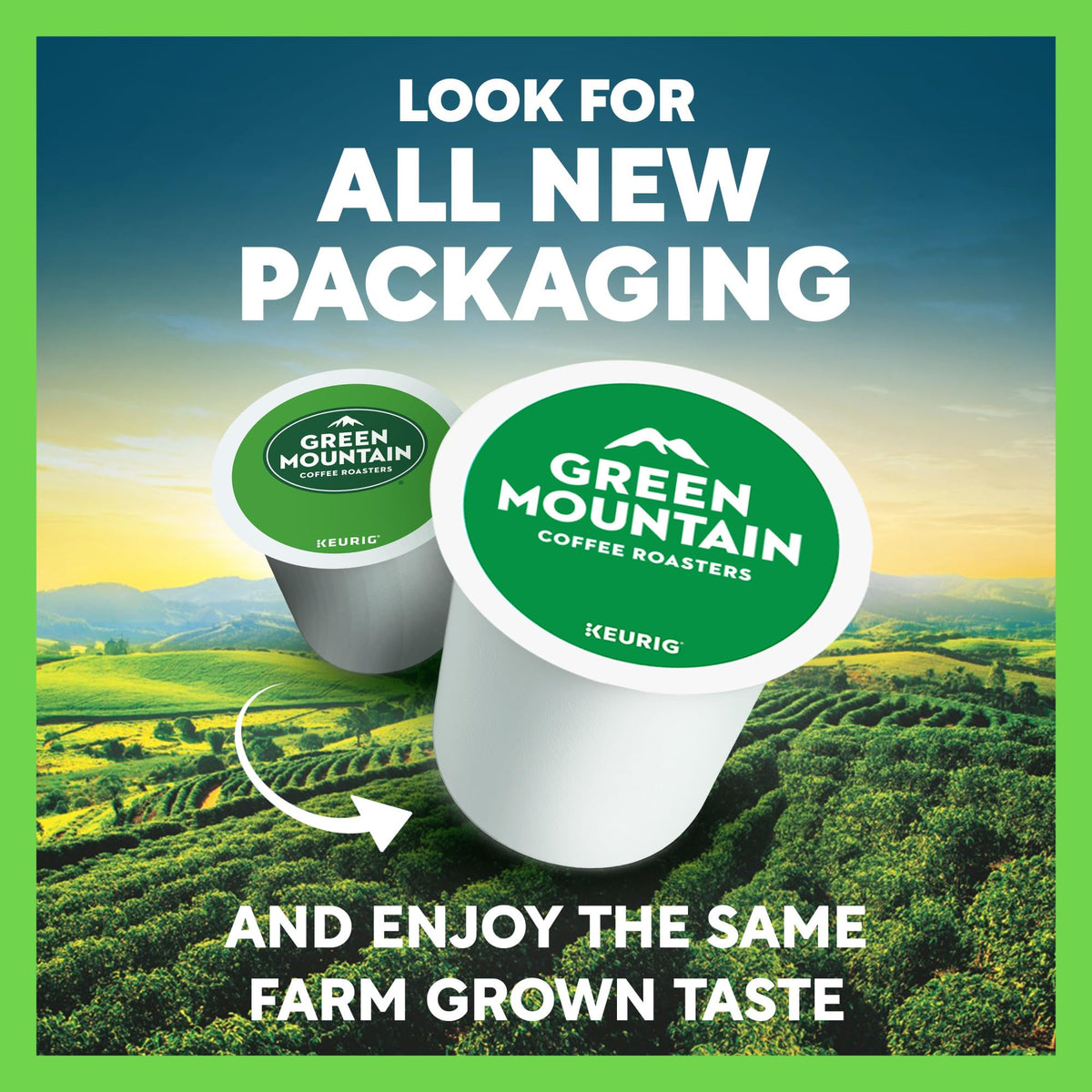 Green Mountain Coffee Roasters Chocolate Dipped Pistachio K-Cups — Limited-Time 96-Count, Keurig Compatible