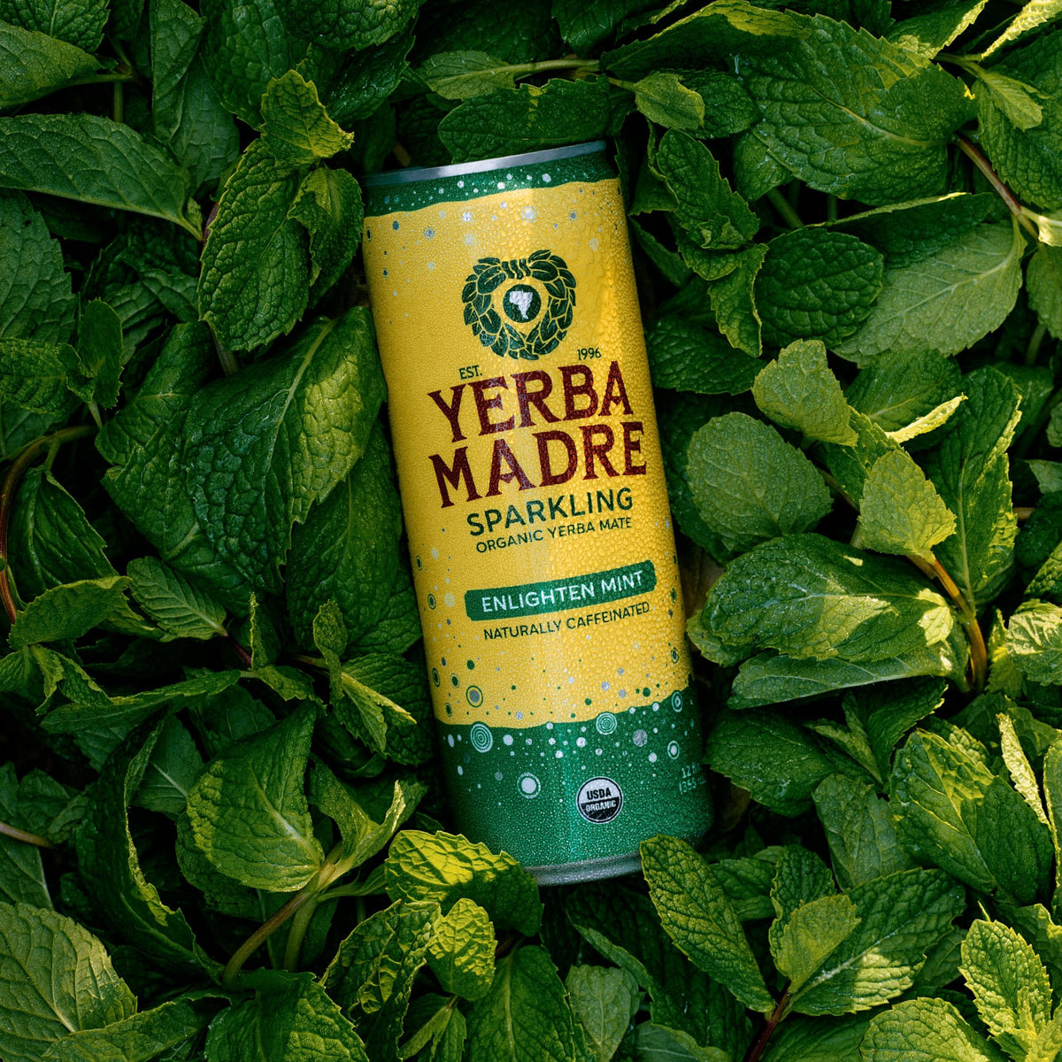 Guayaki Yerba Madre Organic Sparkling Yerba Mate – Enlighten Mint, 115 mg Caffeine, 12 oz Cans (Pack of 12)