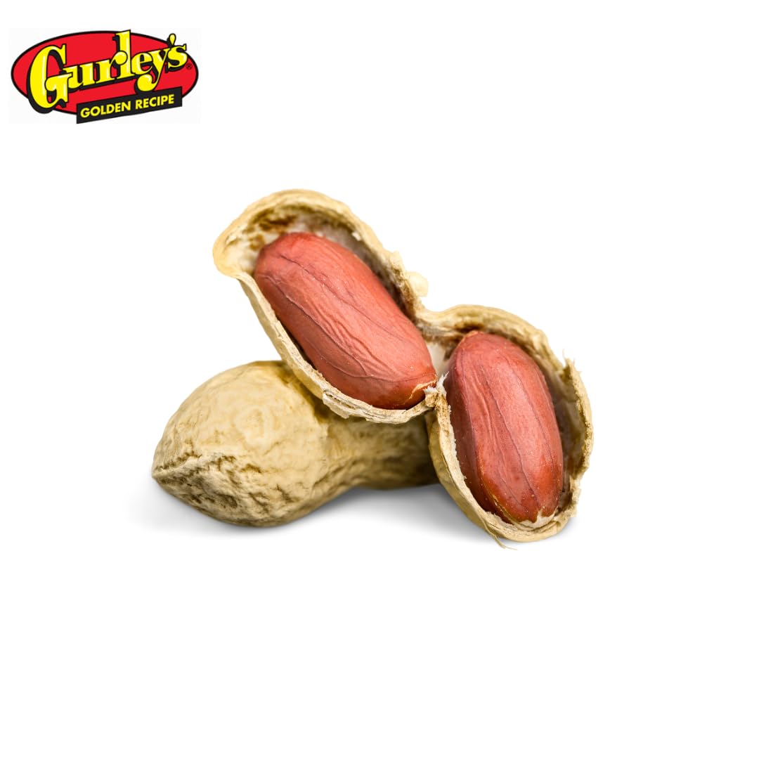 Gurley's Jumbo Salted In-Shell Peanuts – 6 oz Bulk Pack (12 Bags), Non-GMO High-Protein Snack