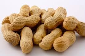 Gurley's Jumbo Salted In-Shell Peanuts – 6 oz Bulk Pack (12 Bags), Non-GMO High-Protein Snack