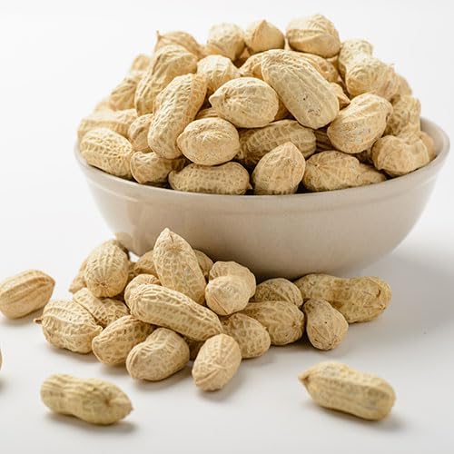 Gurley's Jumbo Salted In-Shell Peanuts – 6 oz Bulk Pack (12 Bags), Non-GMO High-Protein Snack